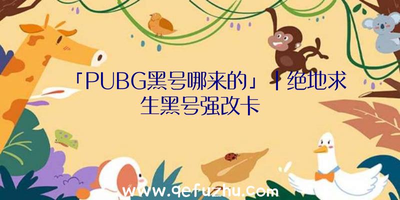 「PUBG黑号哪来的」|绝地求生黑号强改卡